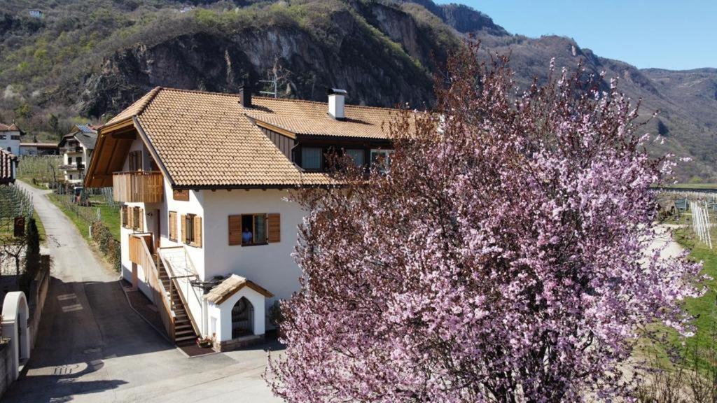 Versigglhof Аппиано-Сулла-Страда-дель-Вино Экстерьер фото