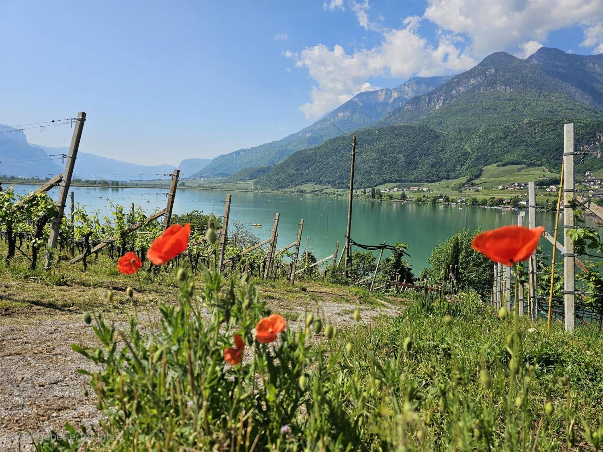 Versigglhof Аппиано-Сулла-Страда-дель-Вино Экстерьер фото